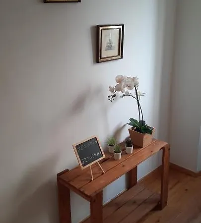 Daire Flor Liz Lisboa